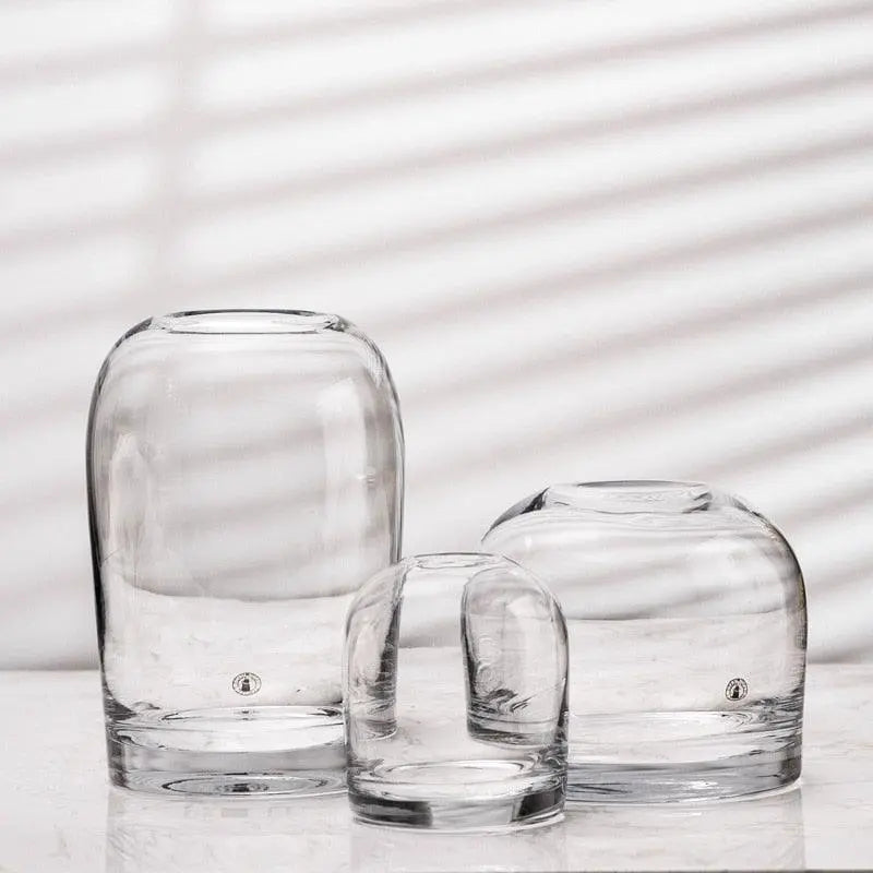 Modern Clear Glass Vase Genesissocks