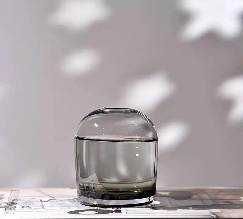 Modern Clear Glass Vase Genesissocks